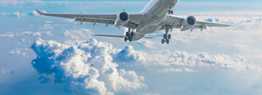 Vuelo latino Cover Image