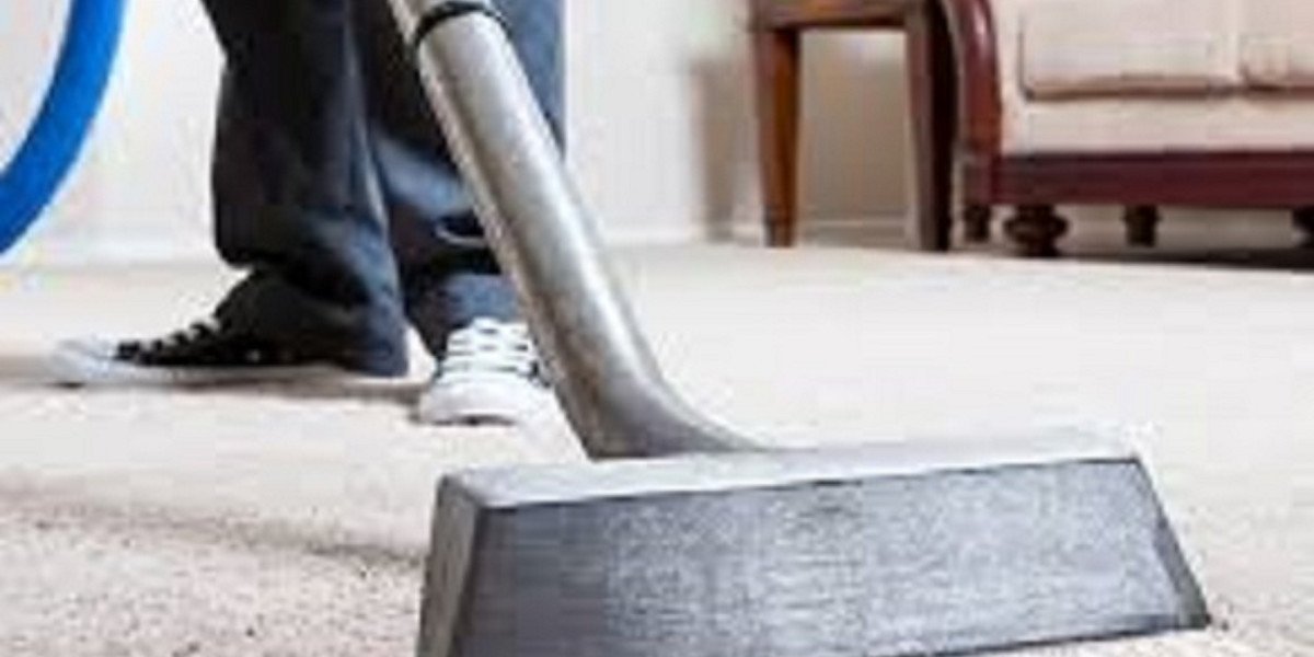 ﻿Carpet Cleaning Services That Handle Pet Stains