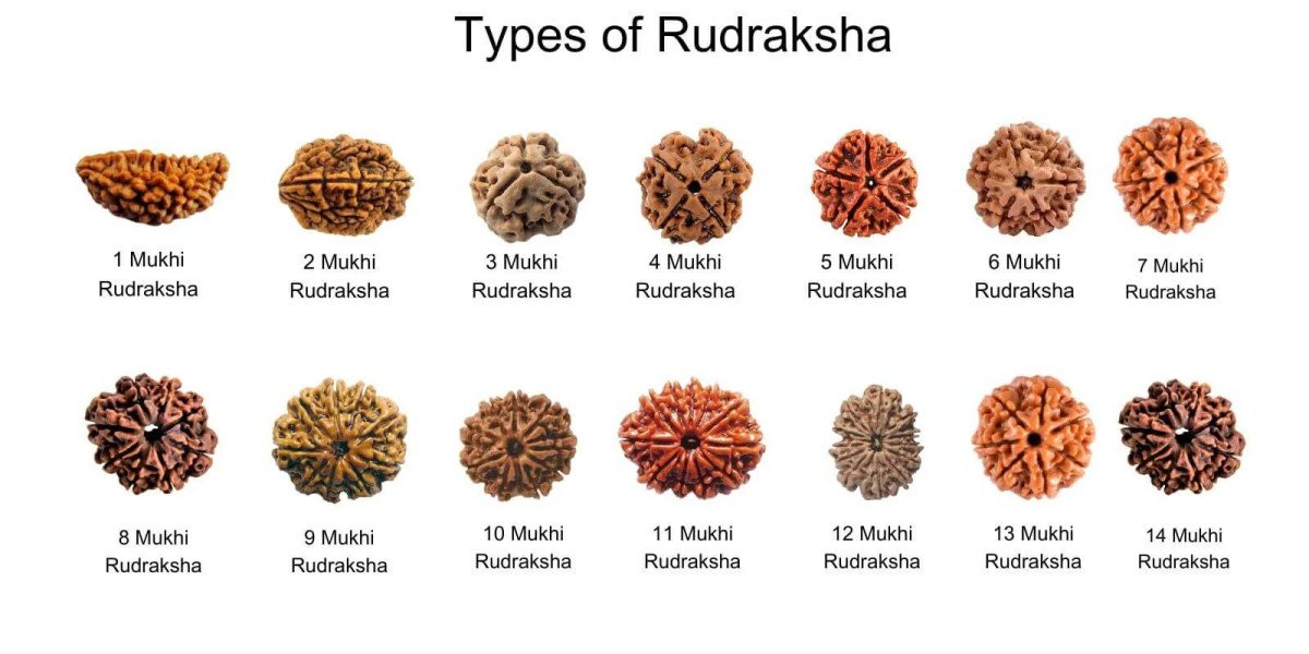 Why People Believe Rudraksha Brings Protection Positive Energy