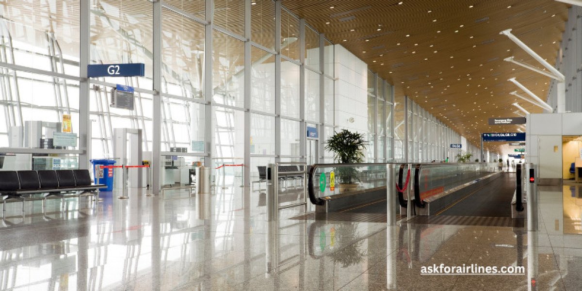 Seat Selection Issues? Call Thai Airways Customer Support Phone Number Chicago