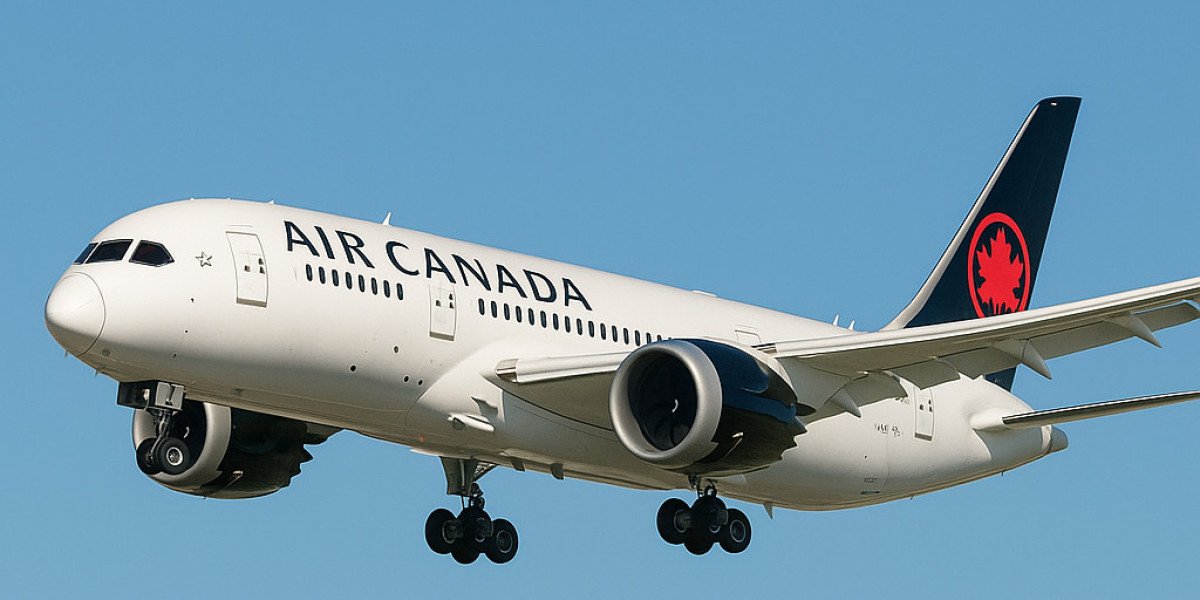 How to Choose the Right Tour Package for Your Next Travel Adventure