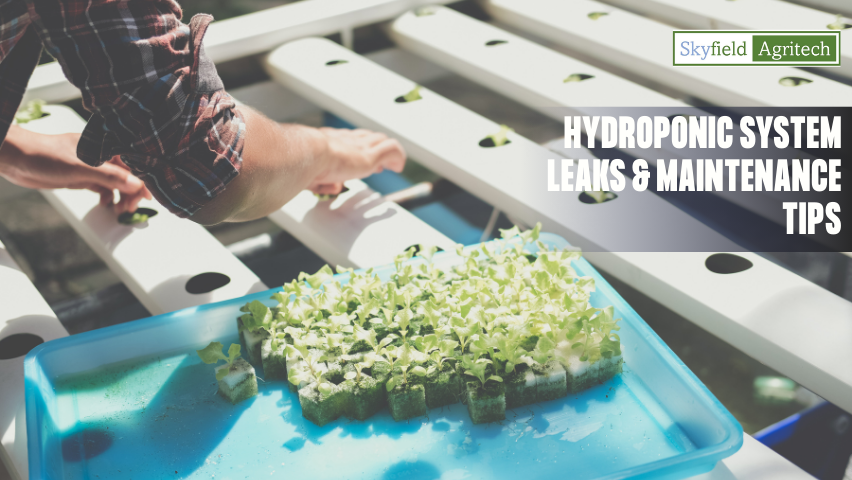 Hydroponic System Leaks & Maintenance Tips