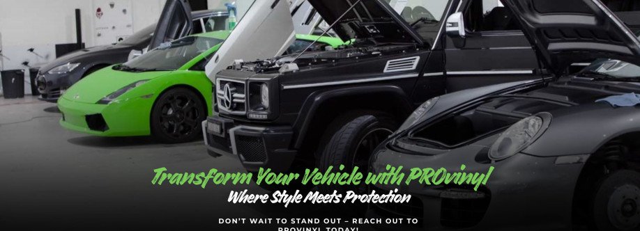 PRO Vinyl Cover Image