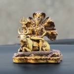 shiv murti Profile Picture