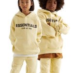 essenttial hoodie Profile Picture